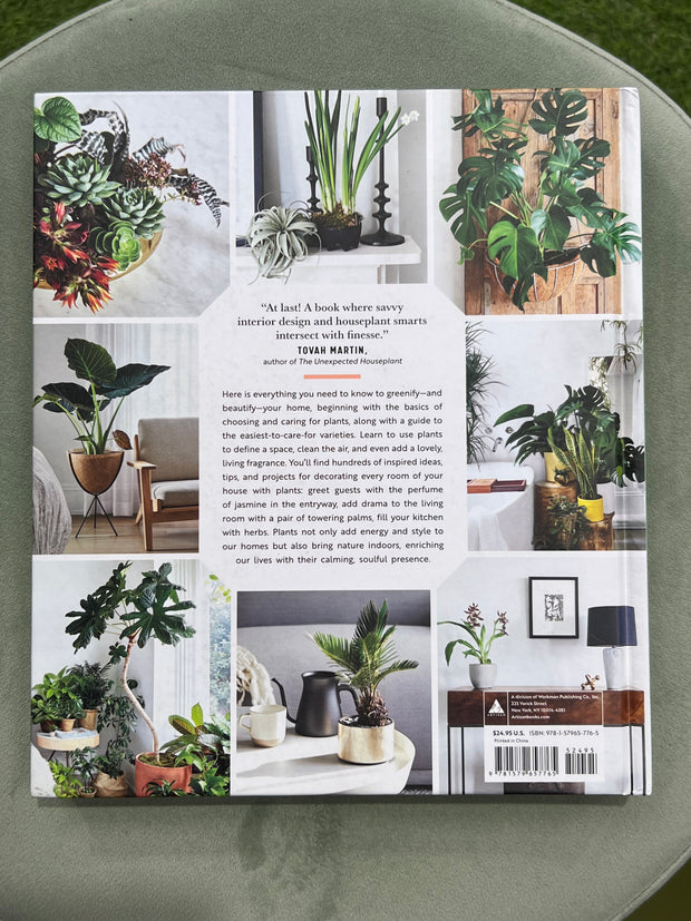 Decorating with Plants: How to Make Them Thrive