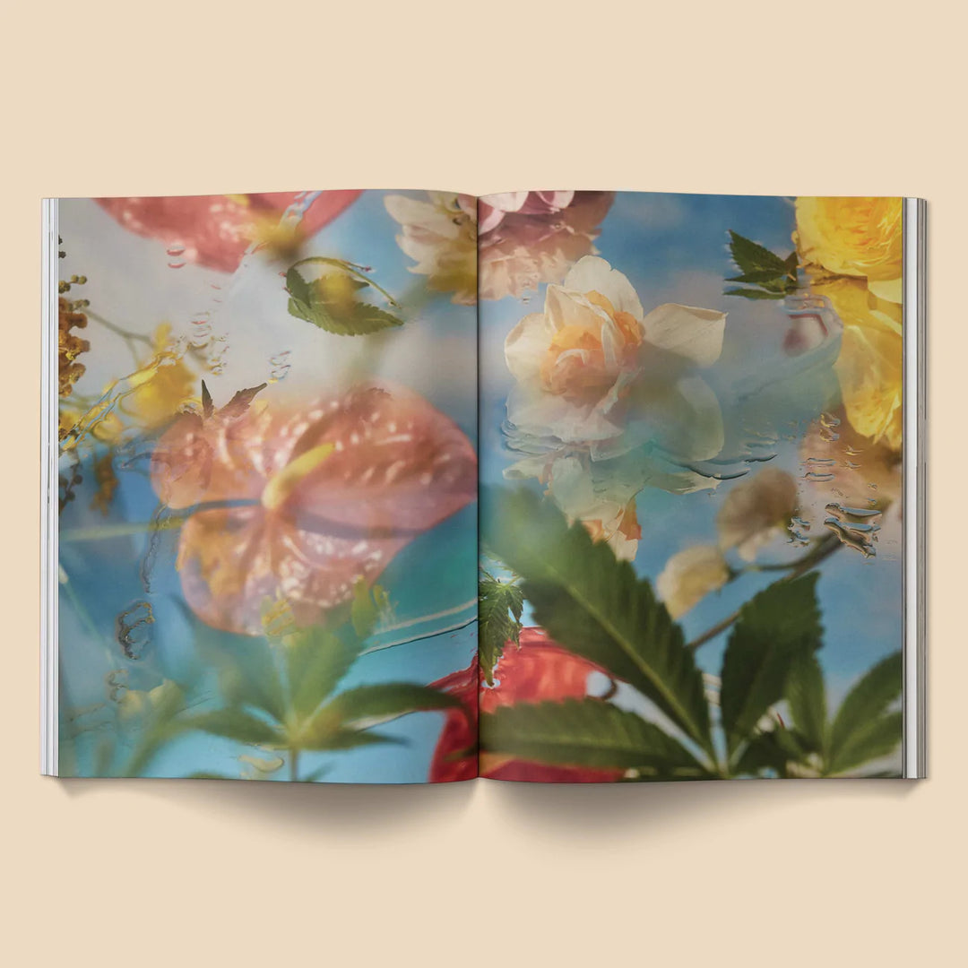 A Weed is a Flower Book