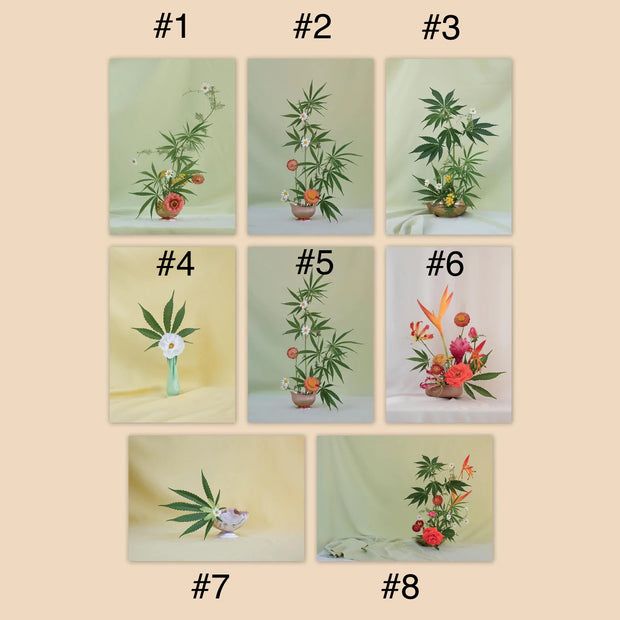 Postcard ~ Weed Ikebana