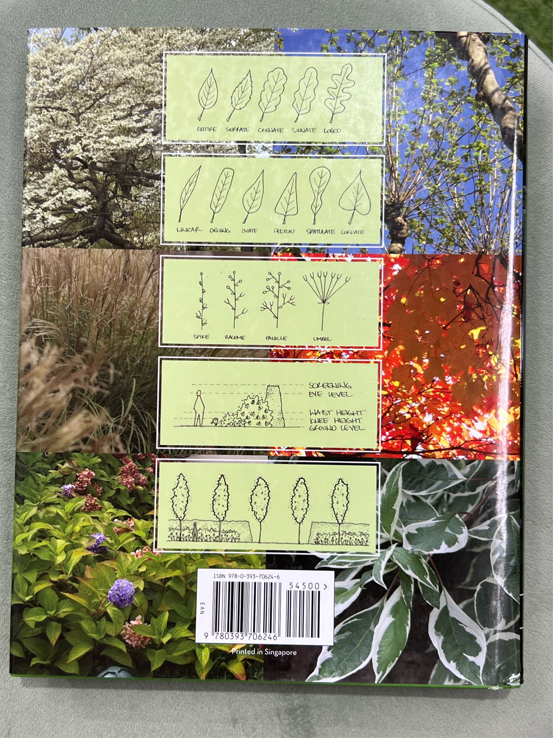 Botany for Designers