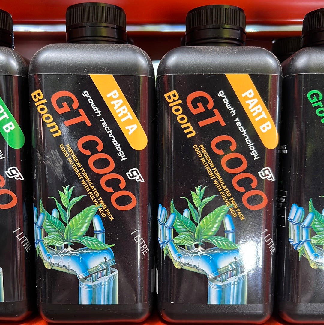 Coco Bloom Part A + Part B