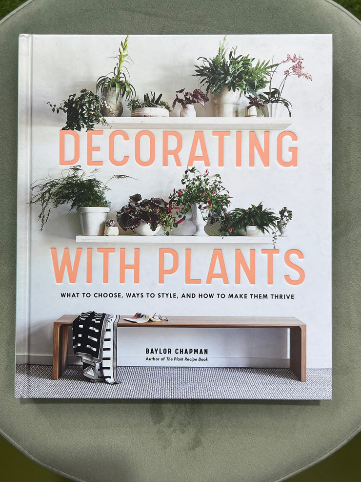 Decorating with Plants: How to Make Them Thrive