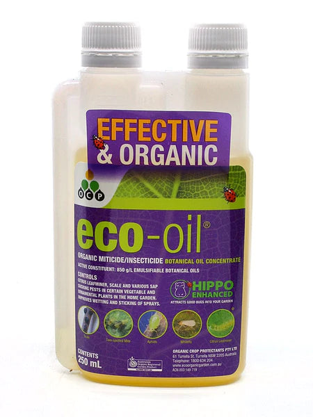 Eco-oil 250ml Concentrate