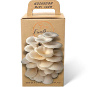 Mushroom Kit by The FunGuy WA