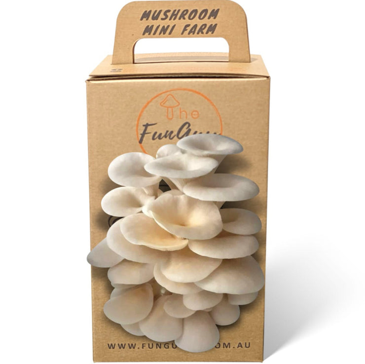 Mushroom Kit by The FunGuy WA