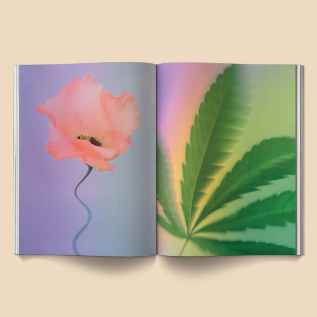 A Weed is a Flower Book