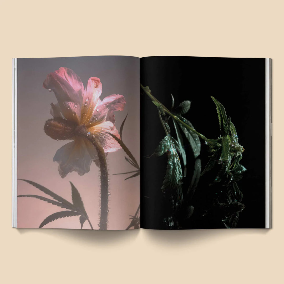 A Weed is a Flower Book